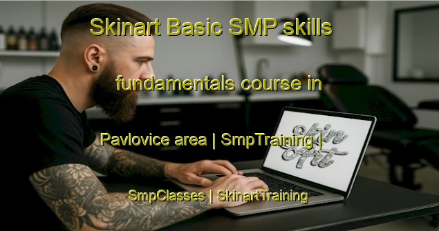 Skinart Basic SMP skills fundamentals course in Pavlovice area | SmpTraining | SmpClasses | SkinartTraining-Czech Republic